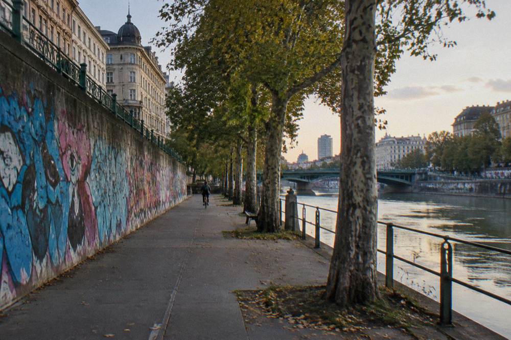 A graffiti-painted embankment wall along the Donaukanal walkway with a cyclist far off and plane trees