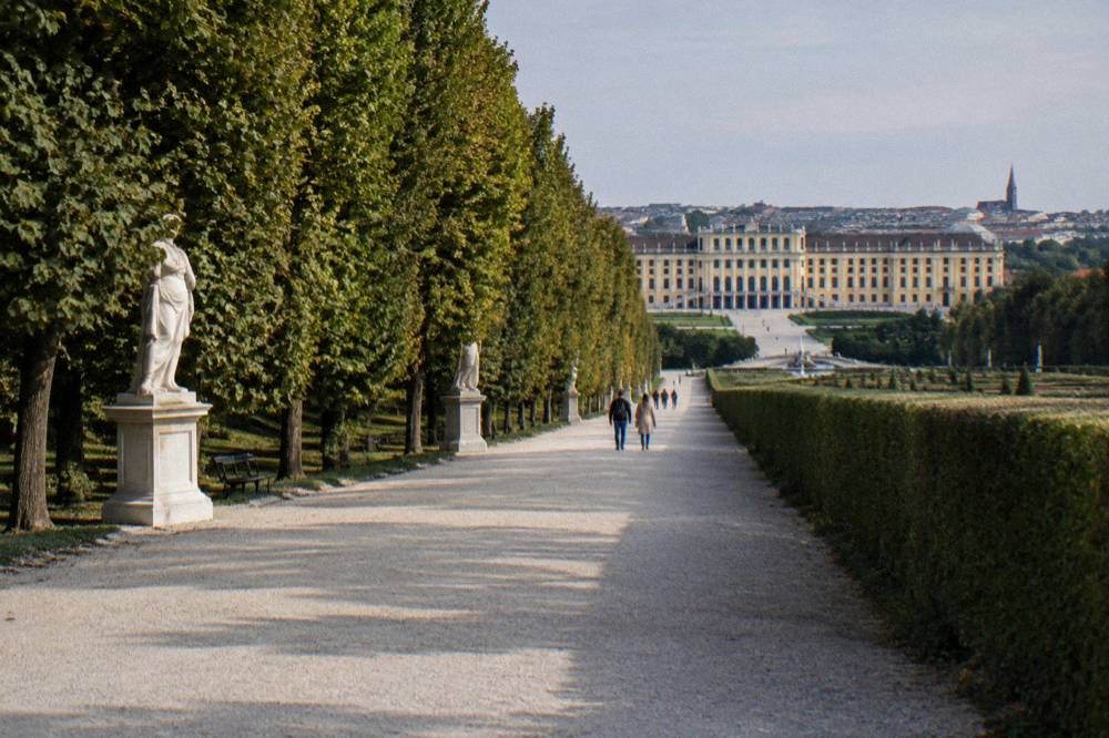 A long tree-lined avenue of the Schönbrunn park with a symmetrical gravel path and clipped hedges