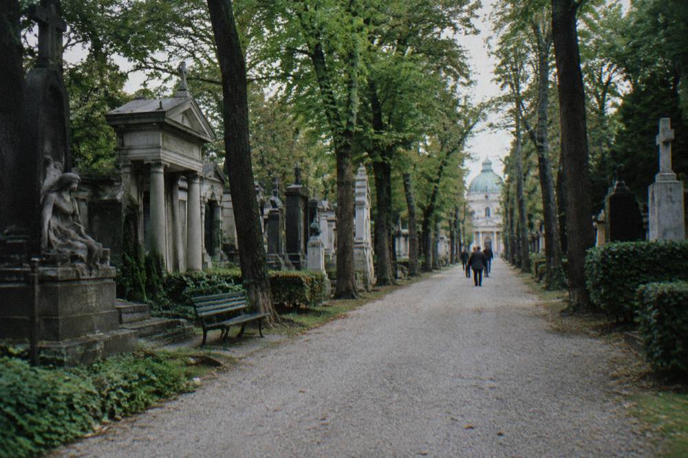A long gravel avenue running through the Zentralfriedhof beneath tall trees with rows of stone monuments on both sides