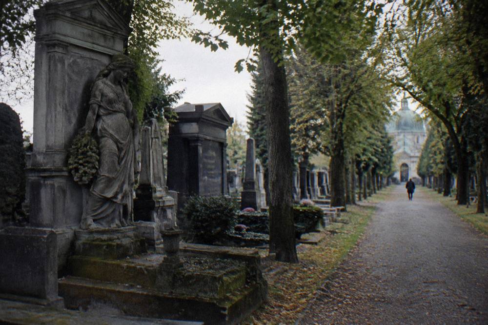 Weathered stone grave monuments at the Zentralfriedhof with a tree-lined path behind, no inscriptions readable