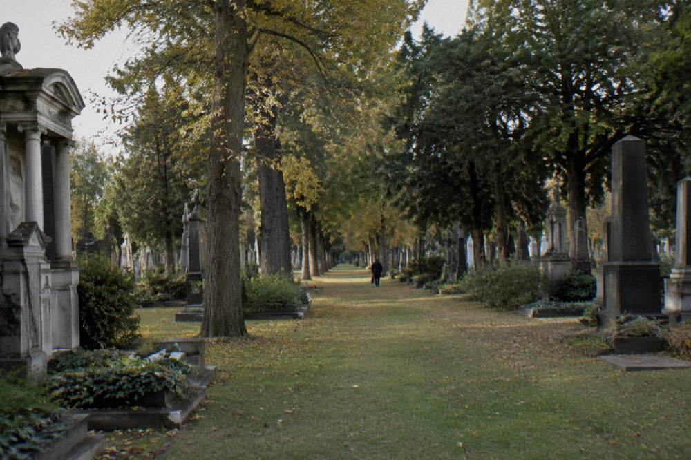 An open space between old graves of the Zentralfriedhof with tall trees and rows of gravestones receding into the distance
