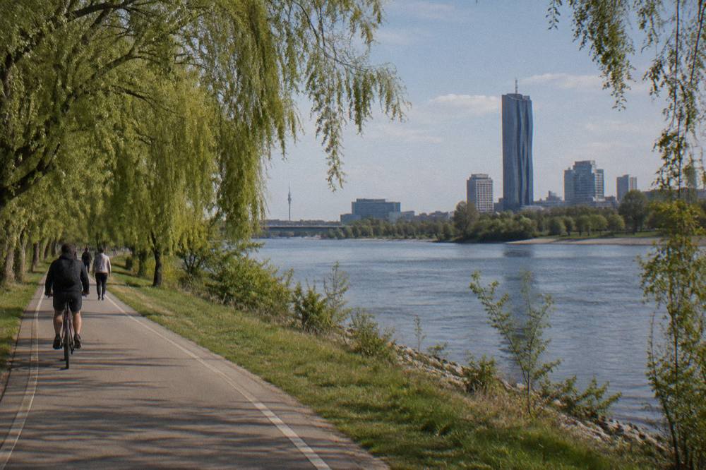 A tarmac cycle and walking path along the Donauinsel bank with willow trees and the Neue Donau channel beyond