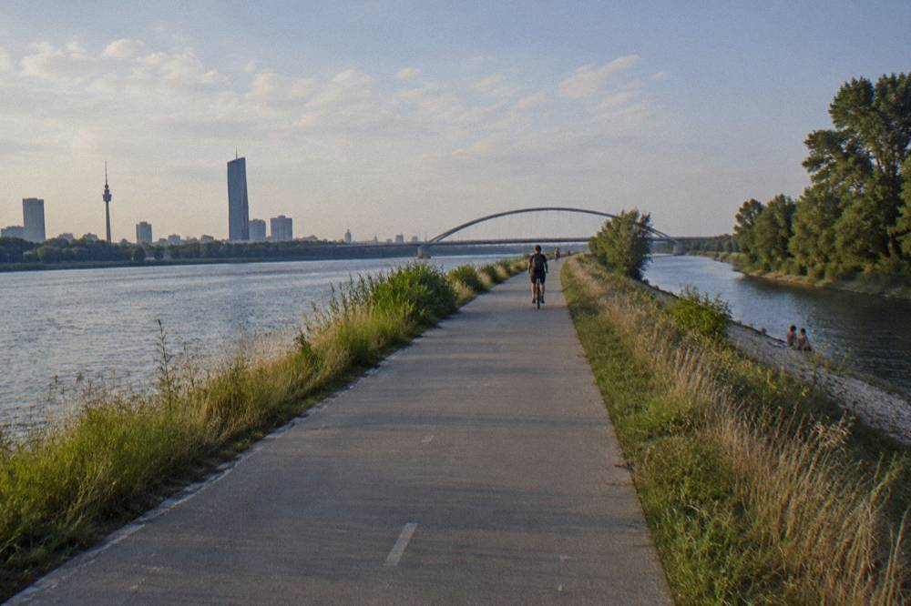 A narrow straight stretch of the Donauinsel with water on both sides, rushes on the bank and an arched bridge far ahead