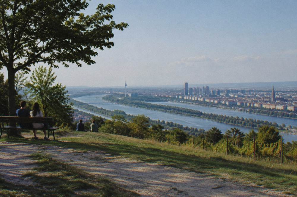 A panoramic clearing at the top of the Kahlenberg looking over the Danube bend and city rooftops on a clear day