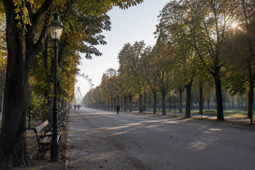 The Prater Hauptallee in early light with chestnut canopies and the faint arc of the Riesenrad far down the avenue
