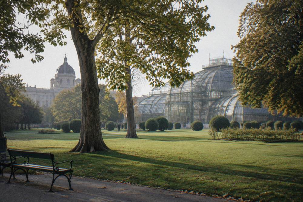 The Burggarten lawn with mature trees and the Palmenhaus glass roof beyond, empty in soft morning light